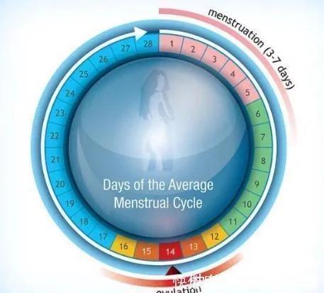 1632793454894886.jpg t0105ab710da8fcad01.webp.jpg