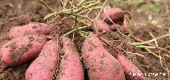 1633745109939015.jpg t01dad60043f54afdbe.webp.jpg