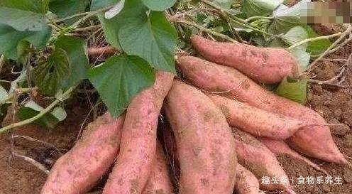 1633745298320431.jpg t010af41c1675d0ef4a.webp.jpg