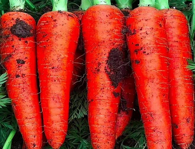 1648544134279264.png 图片2.png