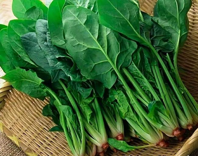 1648544222845913.png 图片4.png