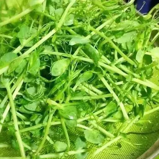 1649388323954814.jpg t01770c56f0421dd433.webp.jpg