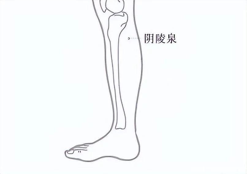 1650609681806371.jpg t01c7641cd62e92580d.webp.jpg