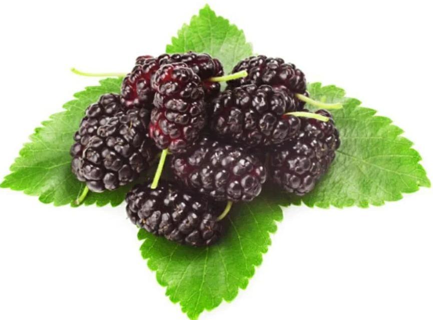 1657935604104740.jpg t01117e4599c0515534.webp.jpg