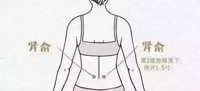 1677725076439268.jpg t0131b36b30c13c1cbc.webp.jpg