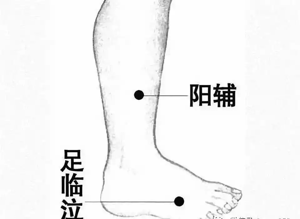 1677725095717028.jpg t01cefdeaa7d5430306.webp.jpg