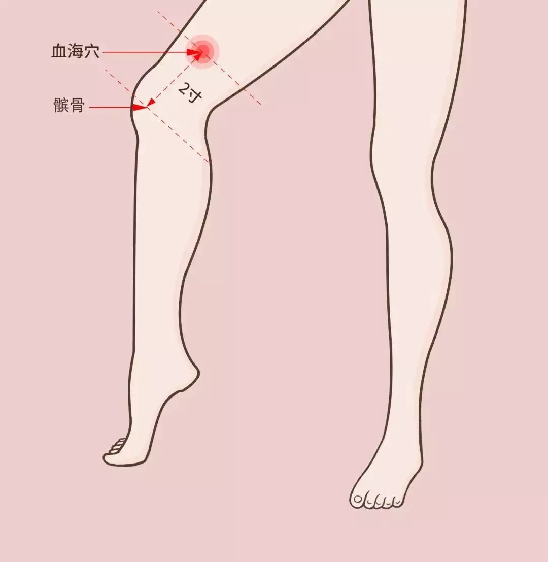 1682385656802766.jpg t01241b49ab06c52d60.webp.jpg