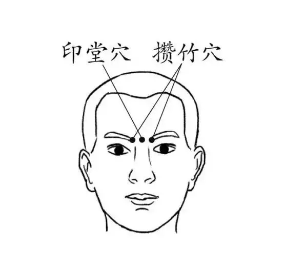 1696908628232164.jpg t0162b4c533aeb543ef.webp.jpg