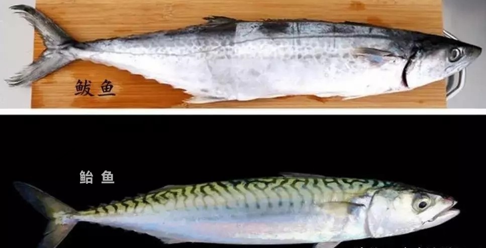 1704334808169918.jpg t018f06c6c8b201a3a5.webp.jpg