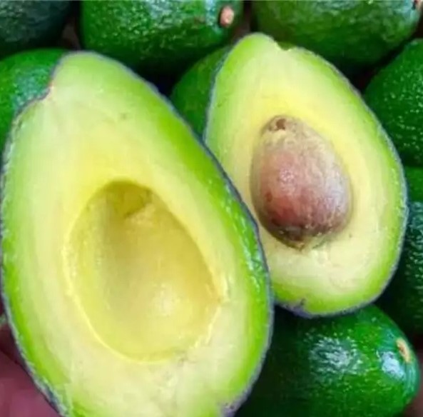 1711596045993401.jpg t019671e5a7aa155f7d.webp.jpg