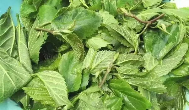 1722581667791398.png 微信截图_20240802145306.png